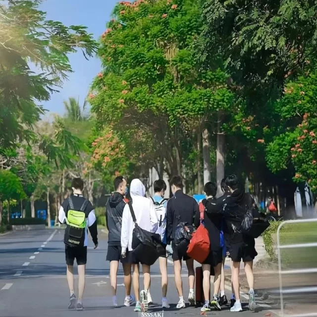 媒体关注焦点盘点与年轻化视角解析 专稿第12203期